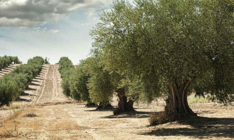 Dimora delle Balze Noto, Sicily - Italy