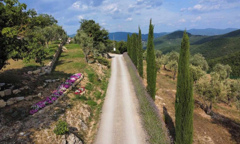 Il Borgo di Vescine Radda In Chianti, Tuscany - Italy